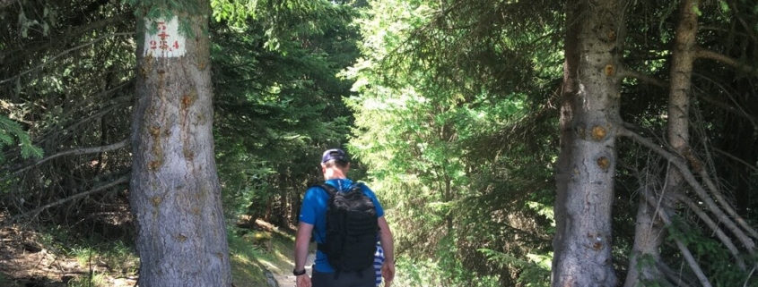 Bear Track
