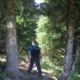 Bear Track