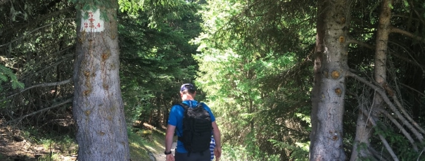 Bear Track