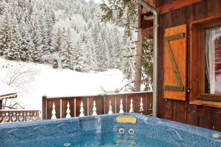 Beautiful View from Chalet in Dahu