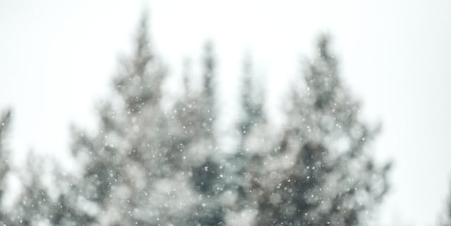 Skiing in poor visibility