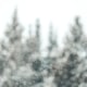 Skiing in poor visibility
